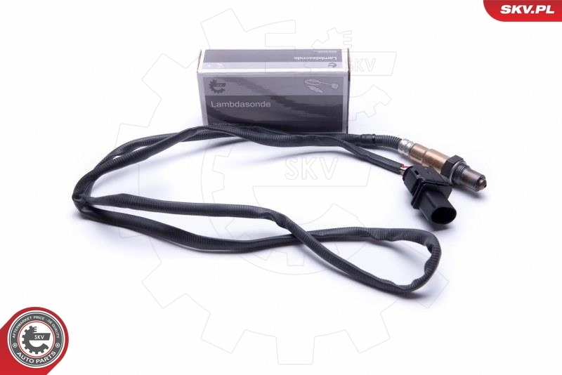 Oxygen Sensor